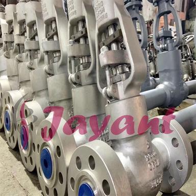 Stainless Steel Globe Valve Size: 2 Inch To 12Inch