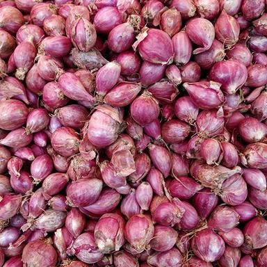 Fresh Onions Moisture (%): Nil