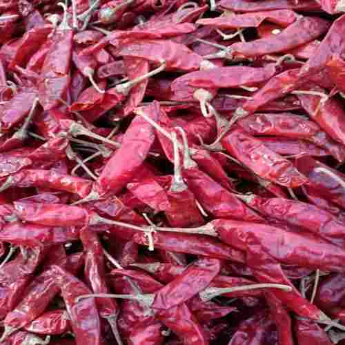 334 Dry Red Chilli Sanam