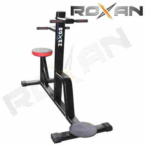 Roxan Double Twister For Home And Gym Use