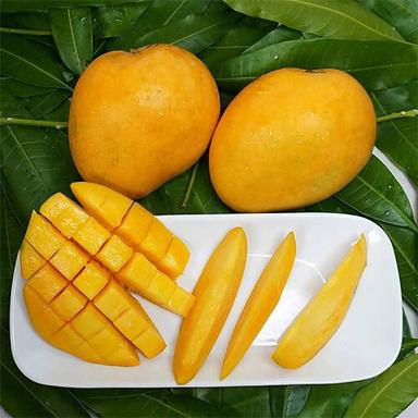Yellow Banganapalli Mango
