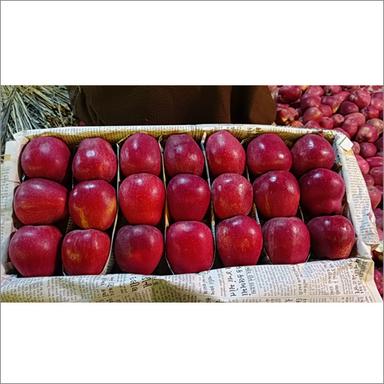 Delicious Apple Fruit Origin: Indian