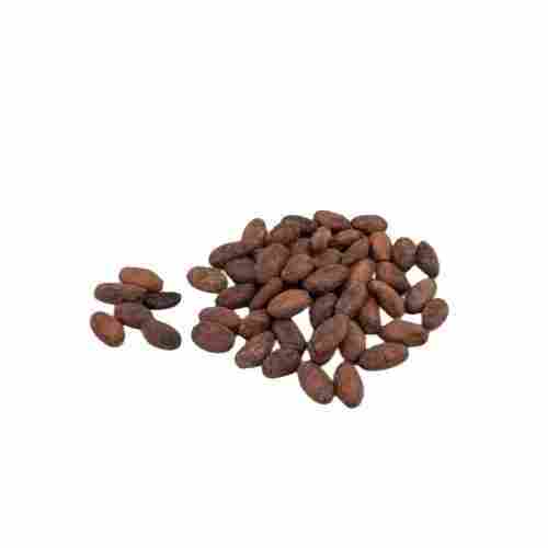 cocoa powder China manufacturer Roast Single Madagascar cocoa bean ASE made from West Africa