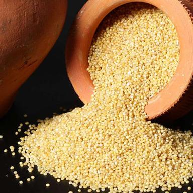 Yellow Food Grade Foxtail Millet