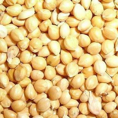 Food Grade Proso Millet Broken Ratio (%): Nil