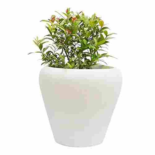 White Planter Pot