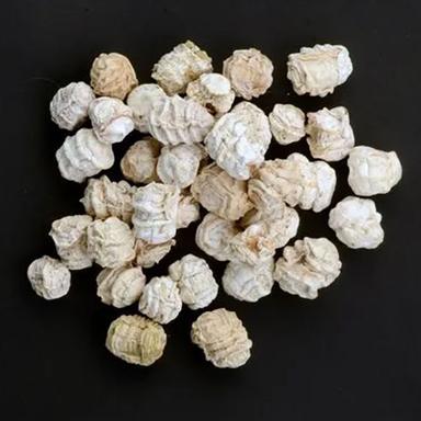 White Dried Kachri