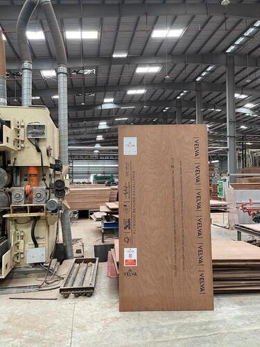 16Mm Calibrated Wooden Plywood Core Material: Harwood
