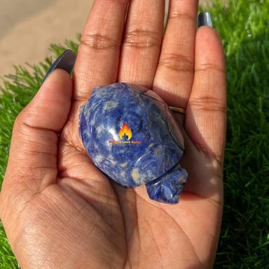Blue Sodalite Tortoise For Home Decoration