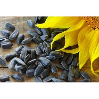 Black Natural Sunflower Seeds