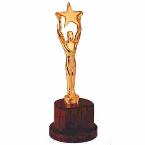 Customized Star Award