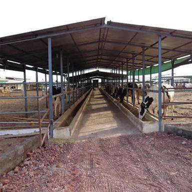 Steel Cattle Shed Poultry Shed