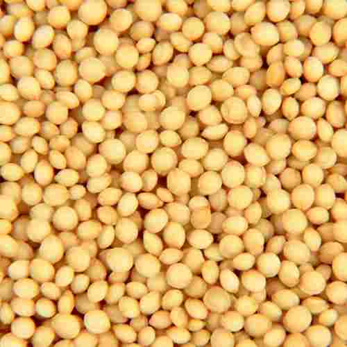 Rajgira Seeds