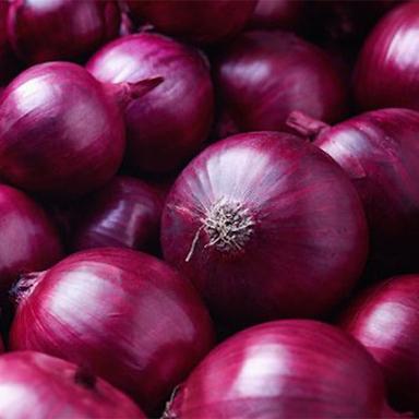 Fresh Red Onion Moisture (%): Nil