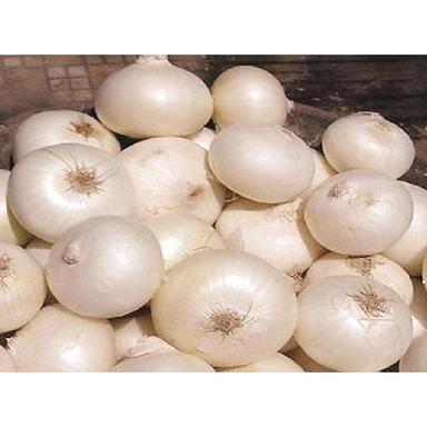 Natural Fresh White Onion