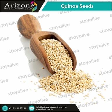 Golden Quinoa Seeds