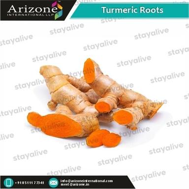 Yellow Turmeric Roots