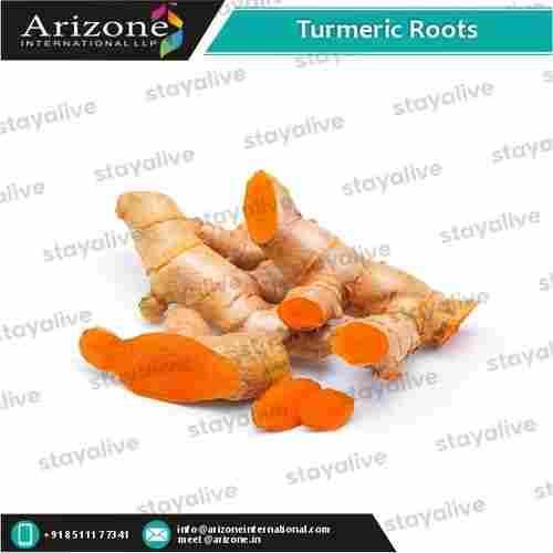 Turmeric Roots