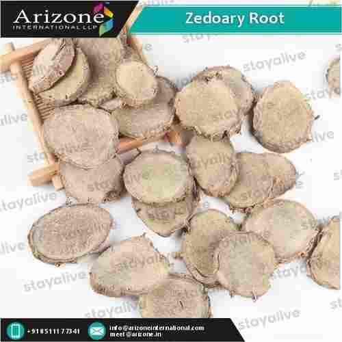 Zedoary Root