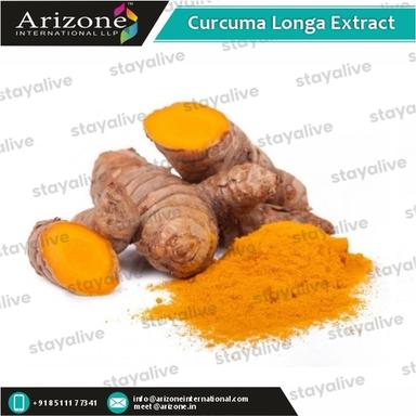 Herbal Product Curcuma Longa Extract