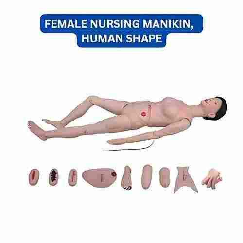 Female Nursing Manikin Human Shape