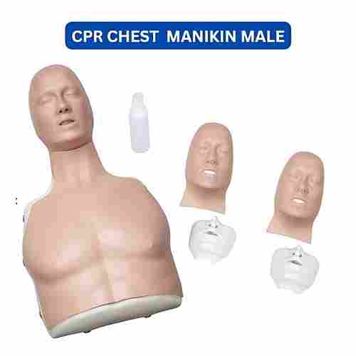 CPR CHEST  Manikin MALE