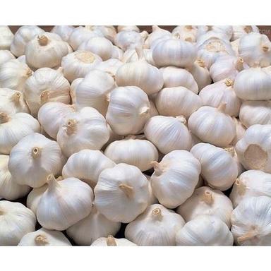 Fesh Garlic Moisture (%): Nil