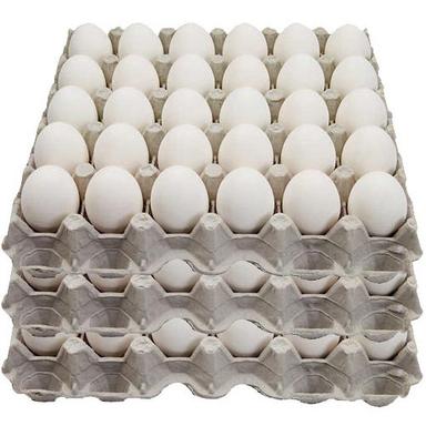 Fresh White Egg Egg Origin: Chicken