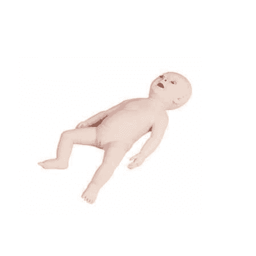 CPR 1500 Infant Obstruction and CPR Model