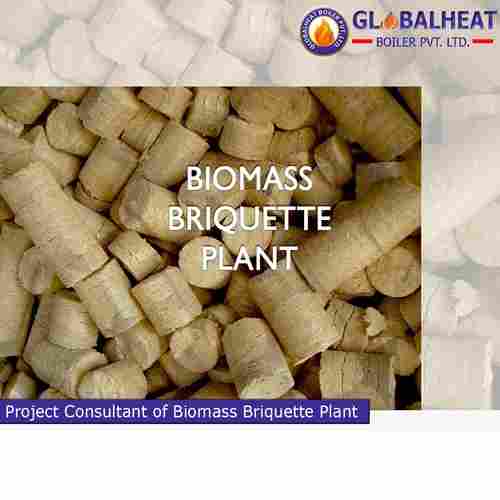 Project Consultant Of Biomass Briquette Plant