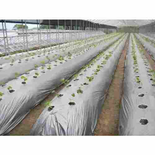 21 Microns Plastic Agriculture Mulching Sheet