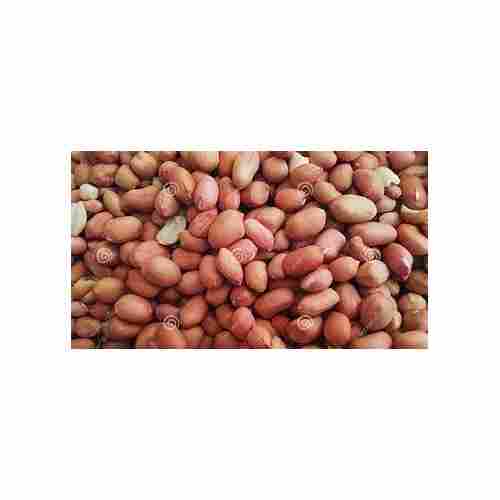 Ground Nut Seeds for Farming