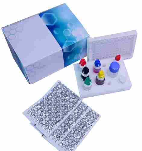 Epstein Barr Virus Nuclear Antigen (EBNA-1) IgG ELISA kit