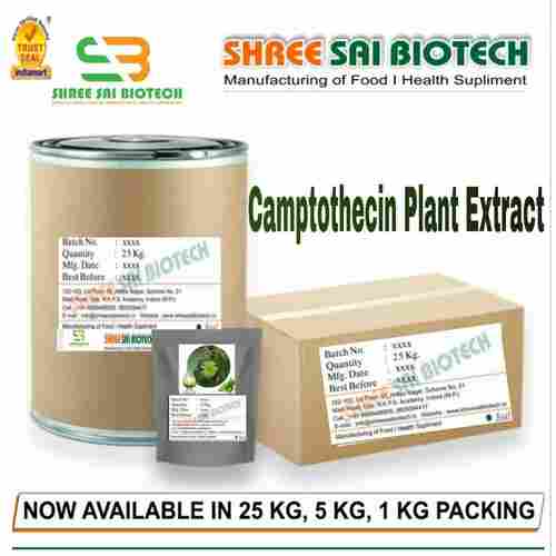 Camptothecin Plant Extract