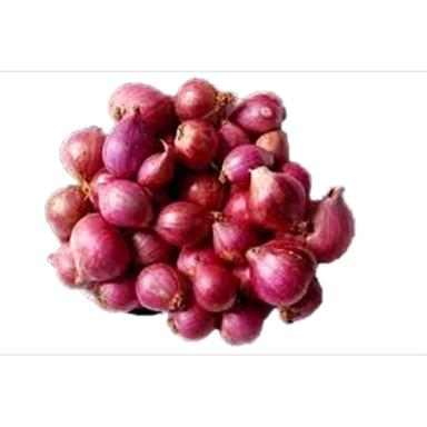 Shallots (Small Onion) Moisture (%): 70-90
