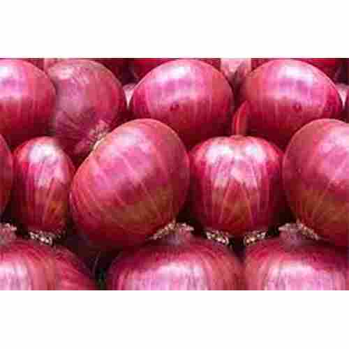 Onions .