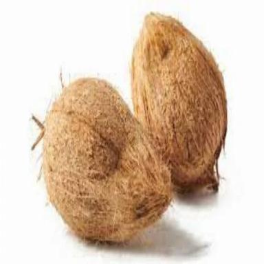 Common Fresh Semi Husked Coconut
