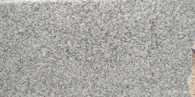 Granite Slab P.White Fresh