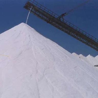 Metal Industrial Salt Conveyor
