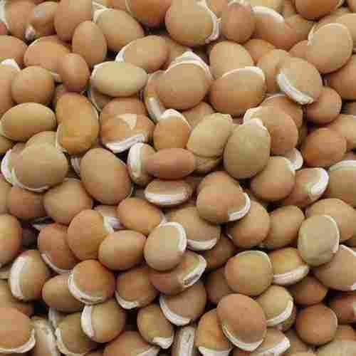 Field Beans