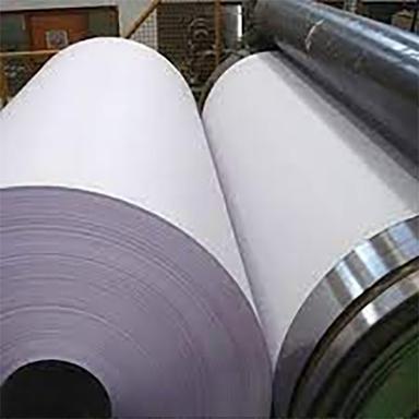 Poly Coated Maplitho Paper