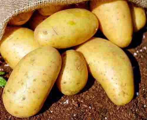 Potatoes king