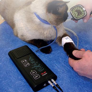 Black Veterinary Doppler For Bp Measurement