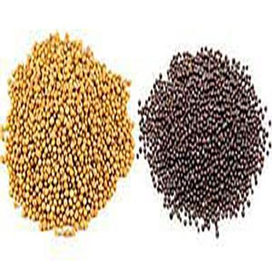 Mustard seeds(yellow and Brown)