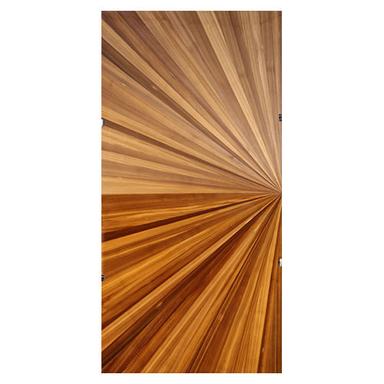 Plywood Door Application: Exterior