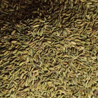 Dried Royal Green Fennel Seed