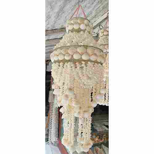 Decorative Seashell Chandelier