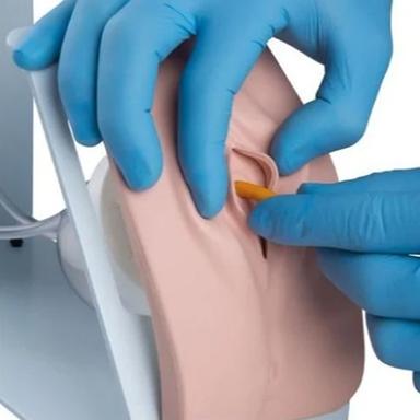 Female Catheterization Training Simulator Application: Industrial