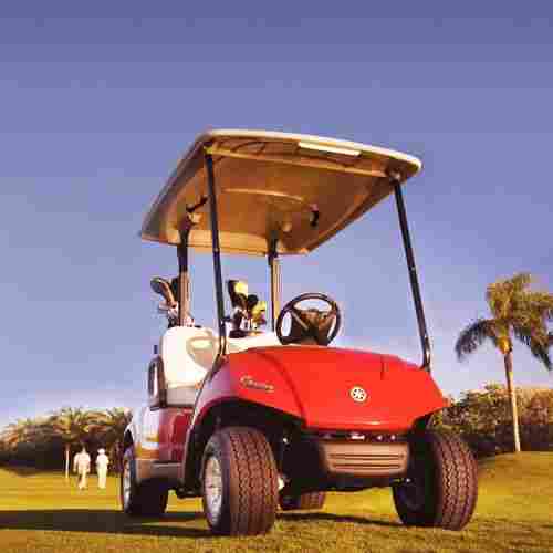 Portable Golf Club Cart