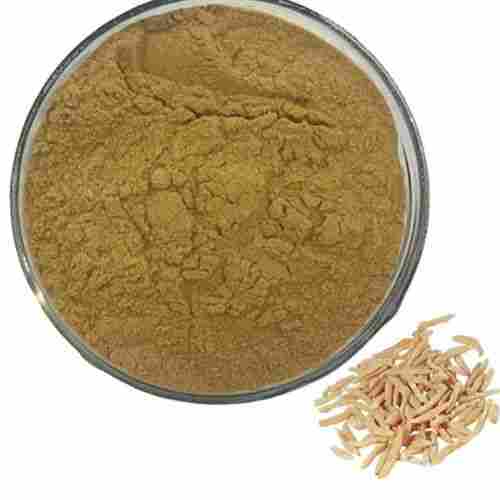 Shatavari Extract Powder